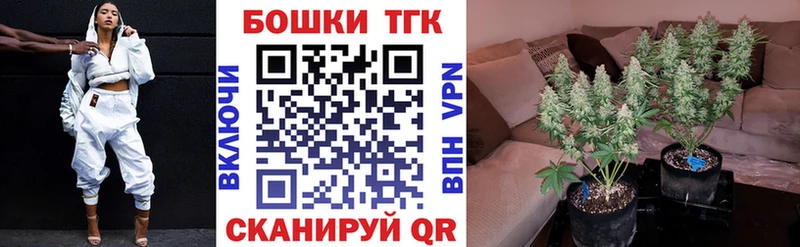 купить  цена  Кировград  Шишки марихуана AK-47 